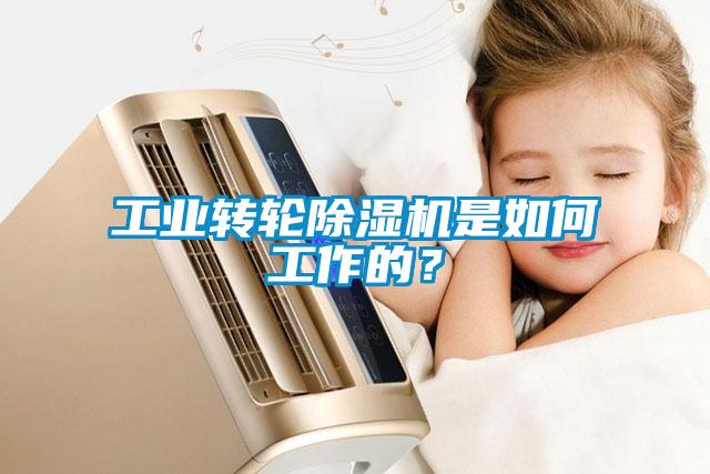 工業轉輪除濕機是如何工作的？