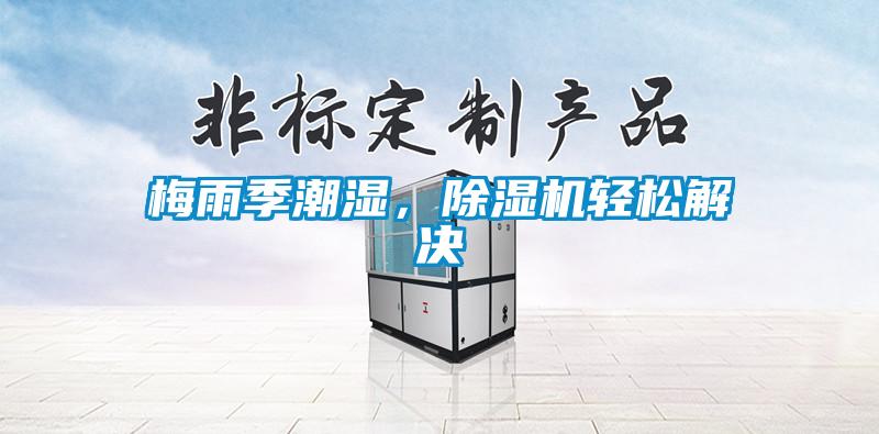梅雨季潮濕，除濕機輕松解決