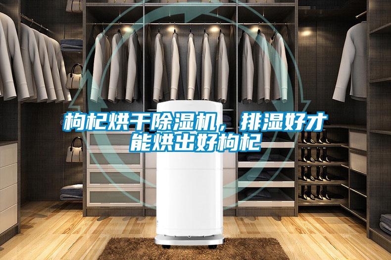 枸杞烘干除濕機，排濕好才能烘出好枸杞