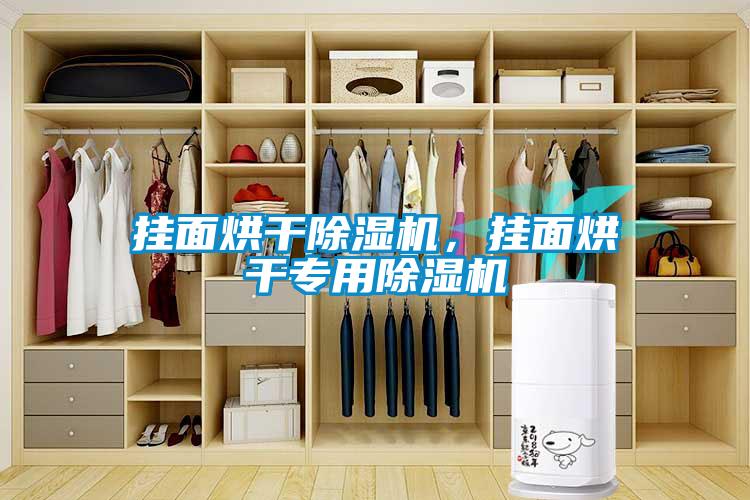掛面烘干除濕機，掛面烘干專用除濕機
