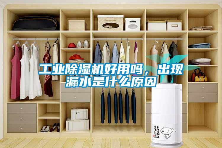 工業除濕機好用嗎，出現漏水是什么原因