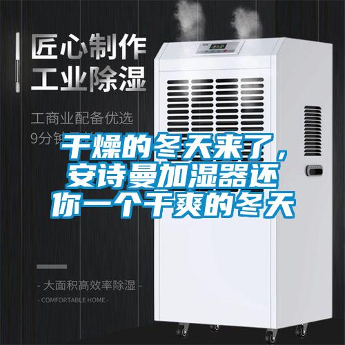 干燥的冬天來了，安詩曼加濕器還你一個干爽的冬天