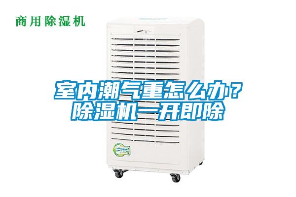 室內潮氣重怎么辦？除濕機一開即除
