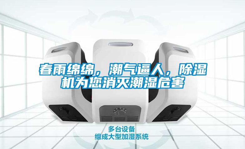 春雨綿綿，潮氣逼人，除濕機為您消滅潮濕危害