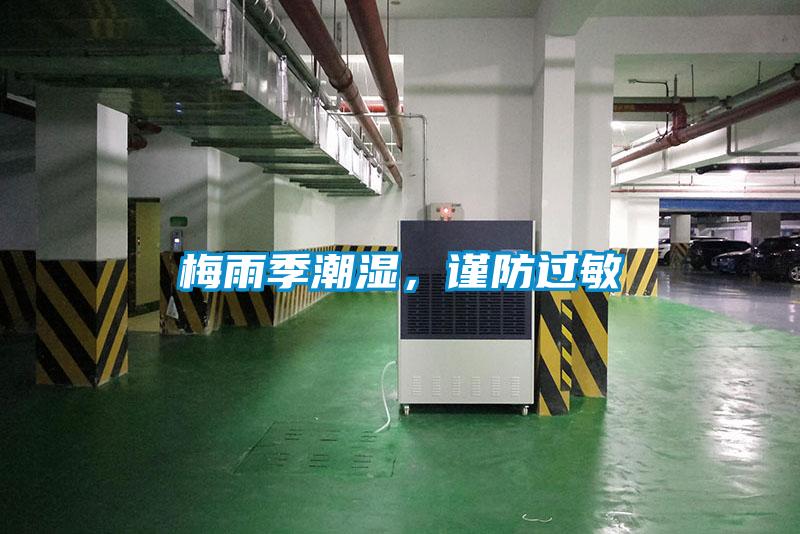 梅雨季潮濕，謹防過敏