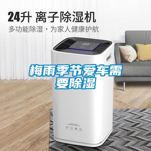 濕氣太重，大不如前！安詩曼除濕機還你健康好身體！