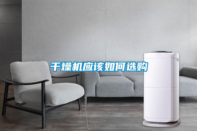年年除濕年年濕，如何快速除濕？