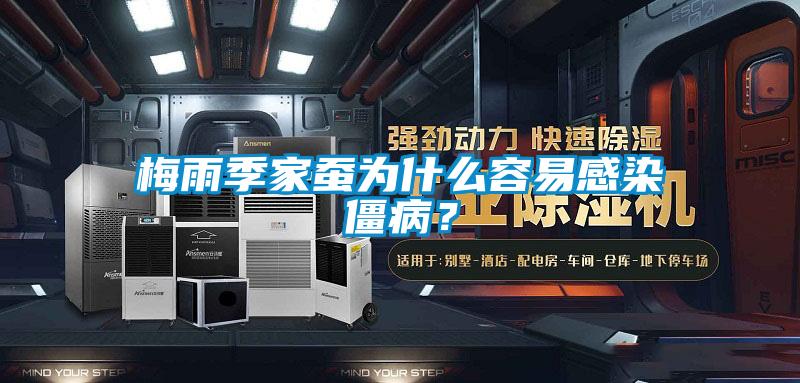 梅雨季家蠶為什么容易感染僵??？