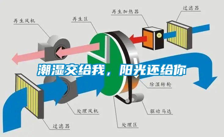 潮濕傷于無形，除濕機來防范