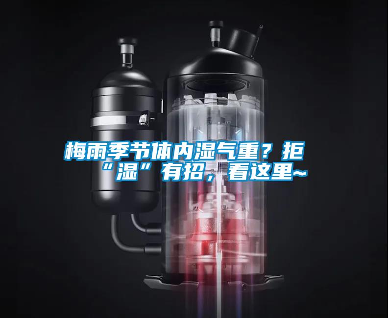 梅雨季節體內濕氣重？拒“濕”有招，看這里~