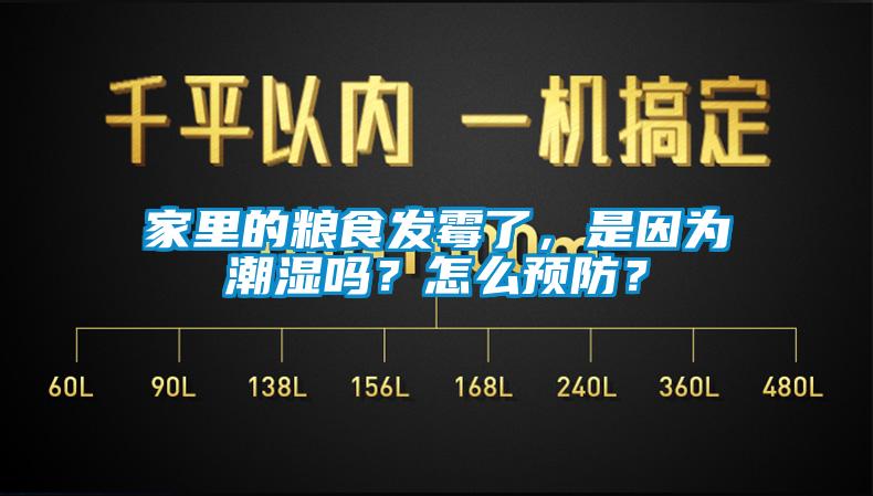 家里的糧食發霉了，是因為潮濕嗎？怎么預防？