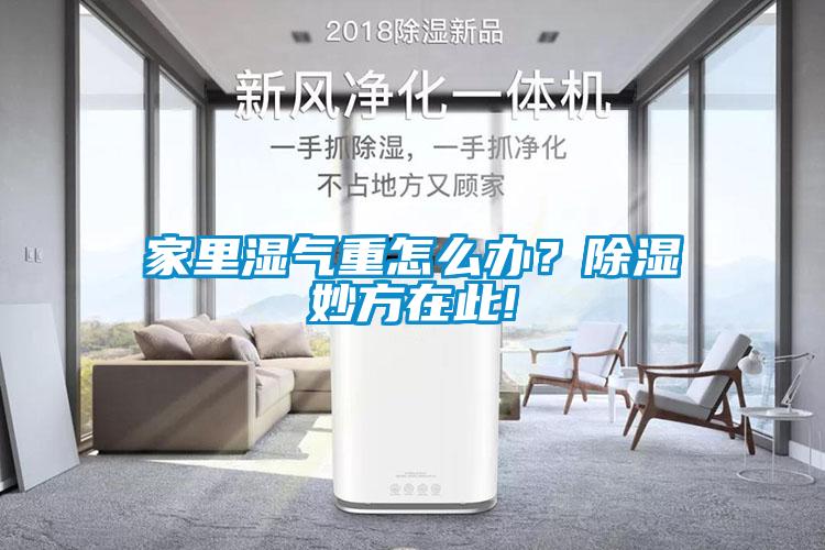 家里濕氣重怎么辦？除濕妙方在此!