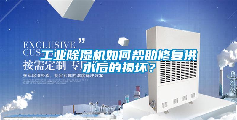 工業除濕機如何幫助修復洪水后的損壞？
