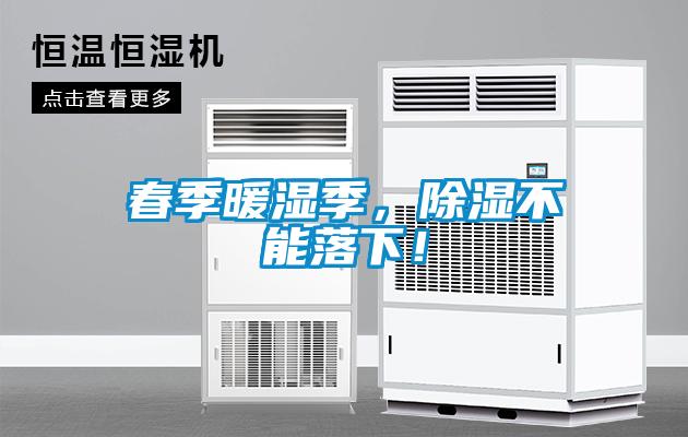 春季暖濕季，除濕不能落下！