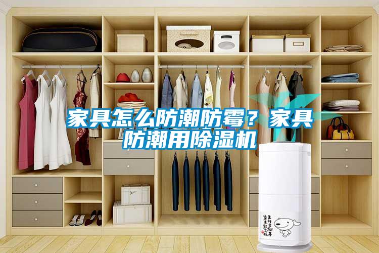 家具怎么防潮防霉？家具防潮用除濕機