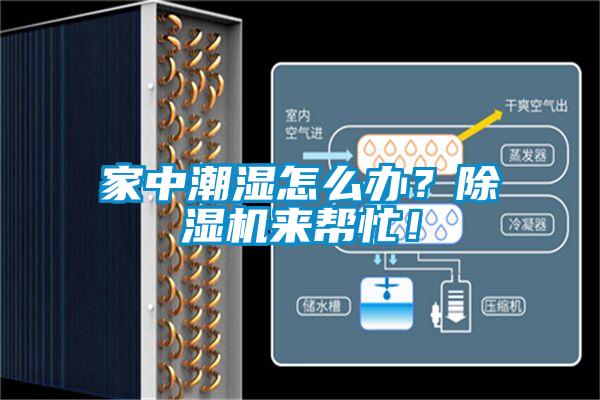家中潮濕怎么辦？除濕機來幫忙！