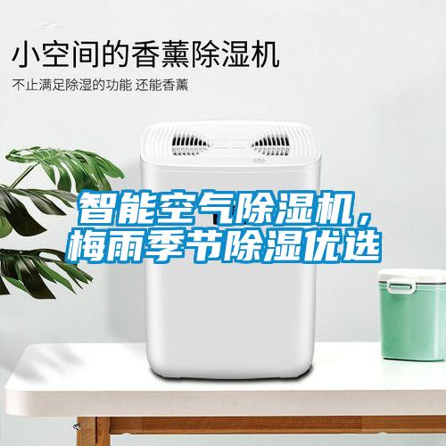 巴西菇、姬松茸烘干機-怎樣烘干色澤好且菇體褶片完整？