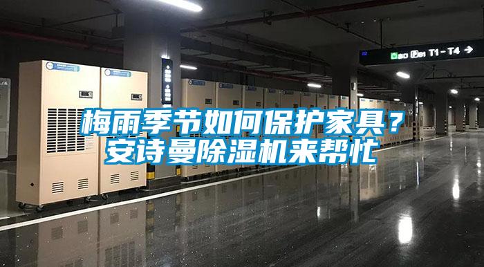 梅雨季節如何保護家具？安詩曼除濕機來幫忙