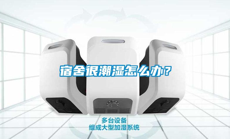 宿舍很潮濕怎么辦？