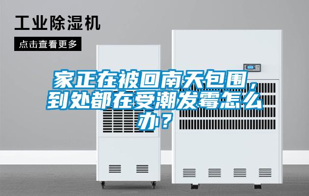 家正在被回南天包圍，到處都在受潮發霉怎么辦？