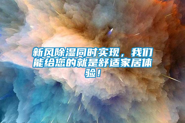 新風除濕同時實現，我們能給您的就是舒適家居體驗！