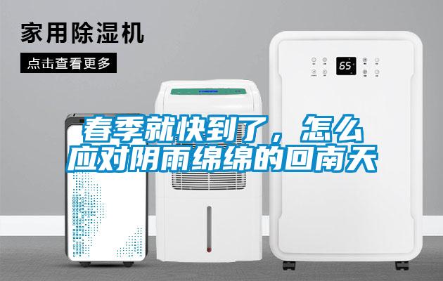 春季就快到了，怎么應對陰雨綿綿的回南天