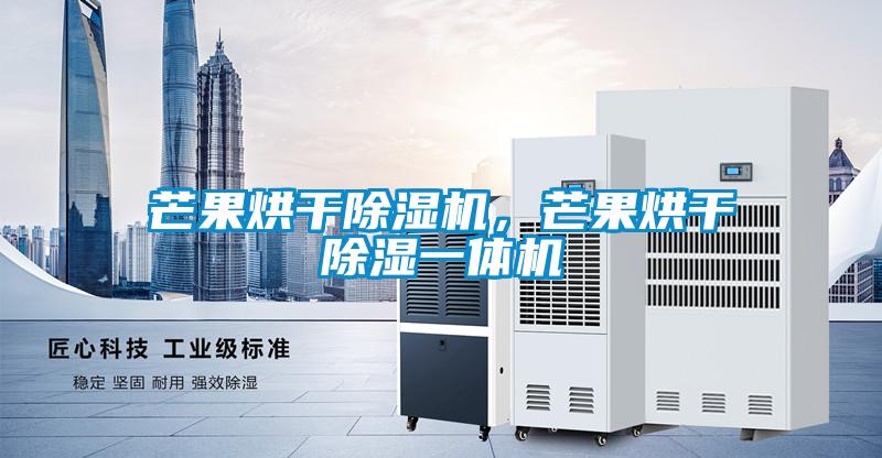 芒果烘干除濕機，芒果烘干除濕一體機