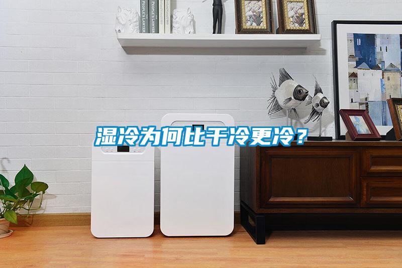 濕冷為何比干冷更冷？