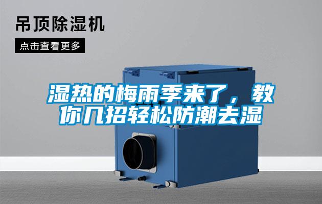 濕熱的梅雨季來了，教你幾招輕松防潮去濕