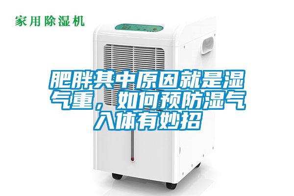 肥胖其中原因就是濕氣重，如何預防濕氣入體有妙招