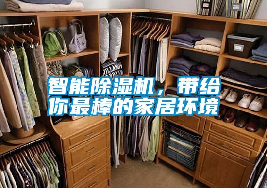 智能除濕機，帶給你最棒的家居環境