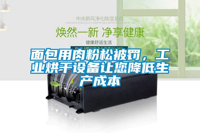 面包用肉粉松被罰，工業烘干設備讓您降低生產成本