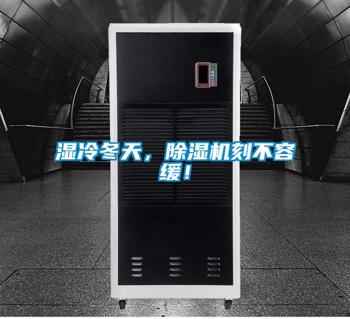 濕冷冬天，除濕機刻不容緩！