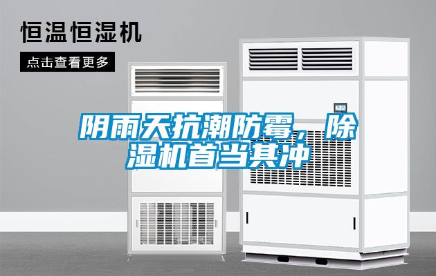 陰雨天抗潮防霉，除濕機首當其沖