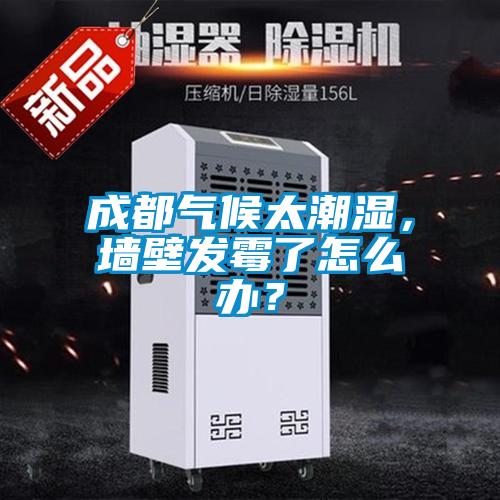 成都氣候太潮濕，墻壁發霉了怎么辦？