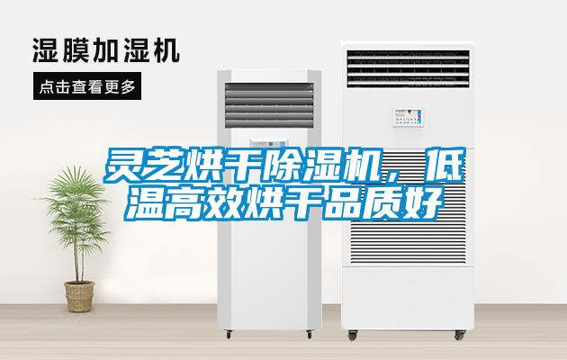 靈芝烘干除濕機，低溫高效烘干品質好
