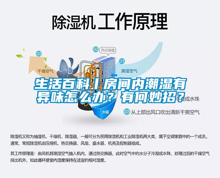 生活百科丨房間內潮濕有異味怎么辦？有何妙招？