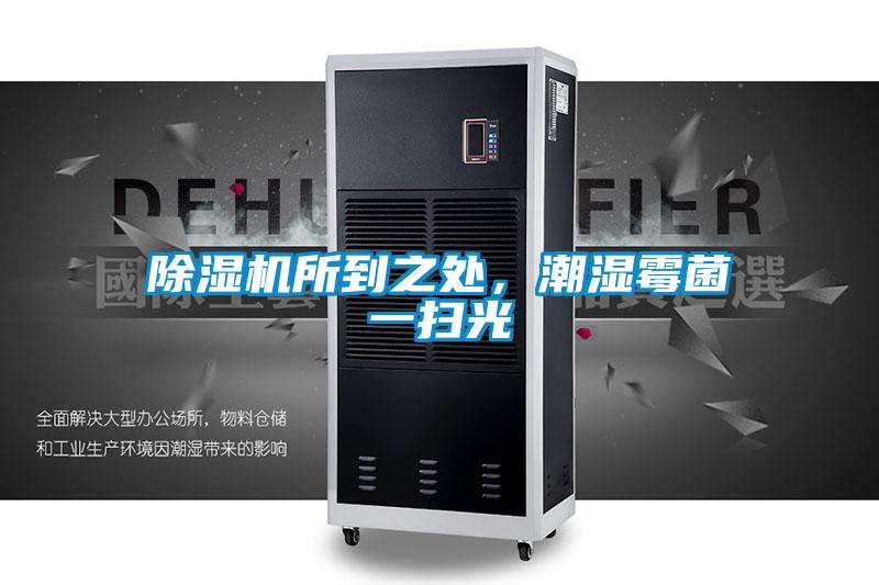 除濕機所到之處，潮濕霉菌一掃光