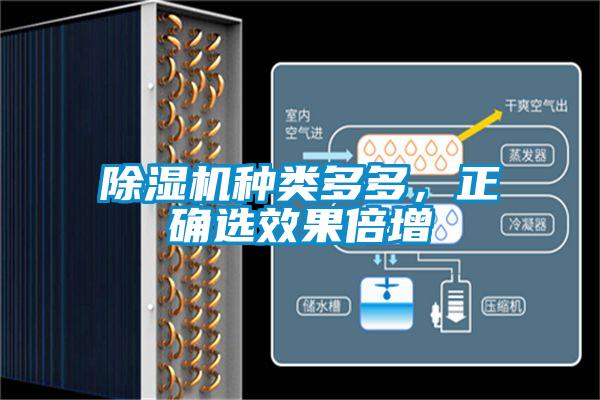 除濕機種類多多，正確選效果倍增