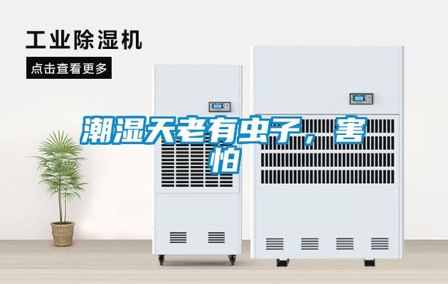 潮濕天老有蟲子，害怕