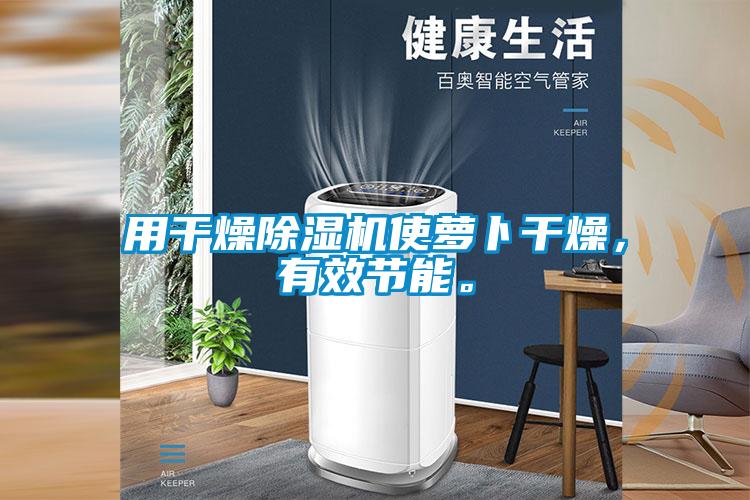 用干燥除濕機使蘿卜干燥，有效節能。