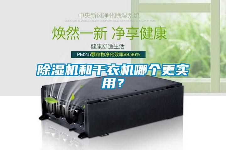 除濕機和干衣機哪個更實用？