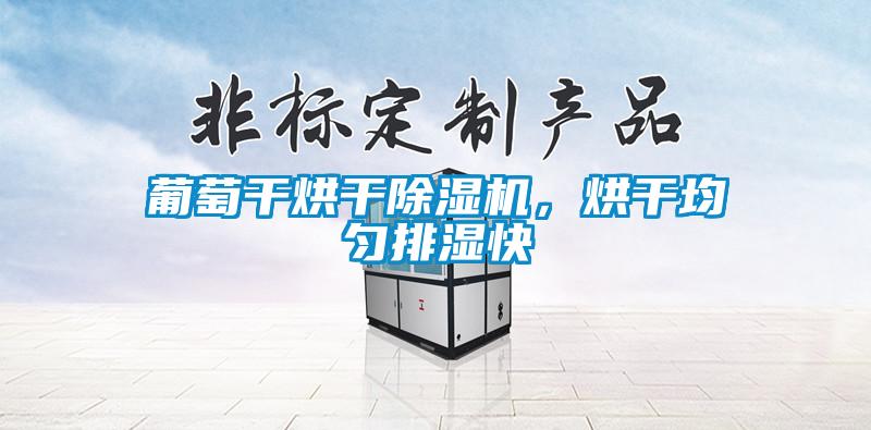 葡萄干烘干除濕機，烘干均勻排濕快