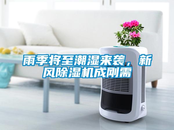 雨季將至潮濕來襲，新風除濕機成剛需
