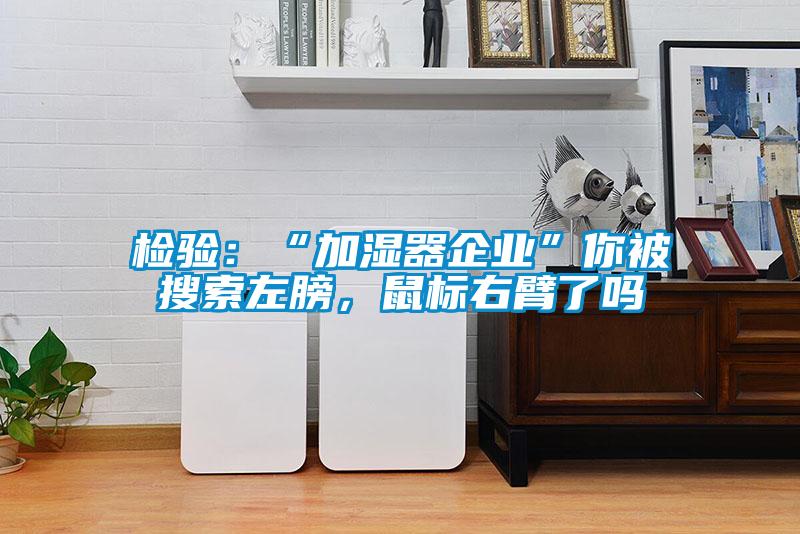 檢驗：“加濕器企業”你被搜索左膀，鼠標右臂了嗎