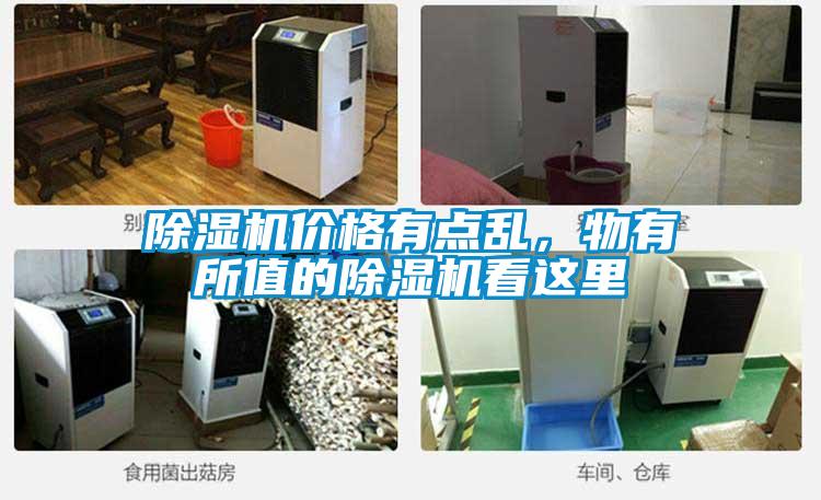 除濕機價格有點亂，物有所值的除濕機看這里