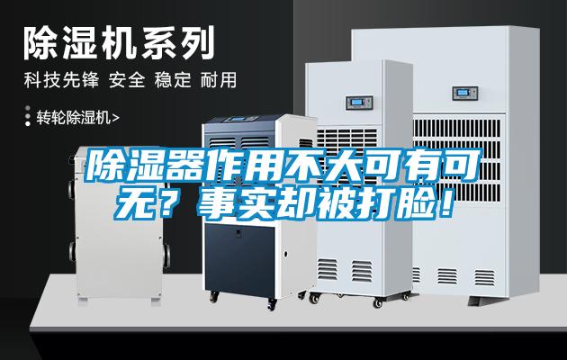 除濕器作用不大可有可無？事實卻被打臉！