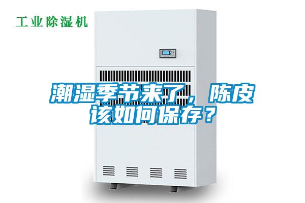 潮濕季節來了，陳皮該如何保存？