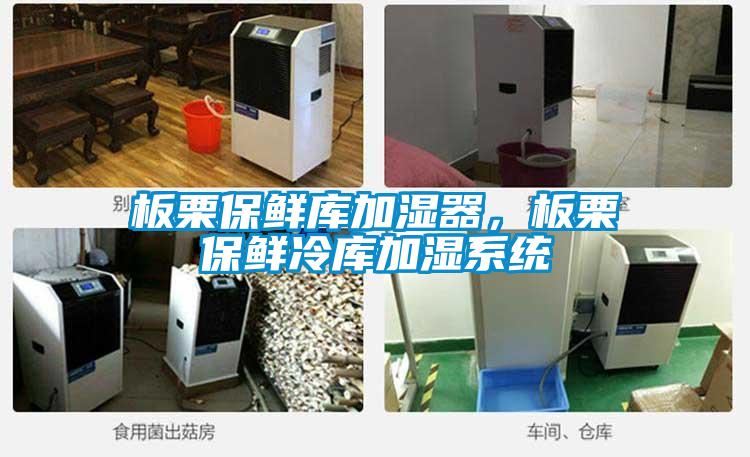 板栗保鮮庫加濕器，板栗保鮮冷庫加濕系統
