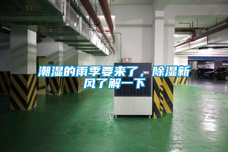 潮濕的雨季要來了，除濕新風了解一下